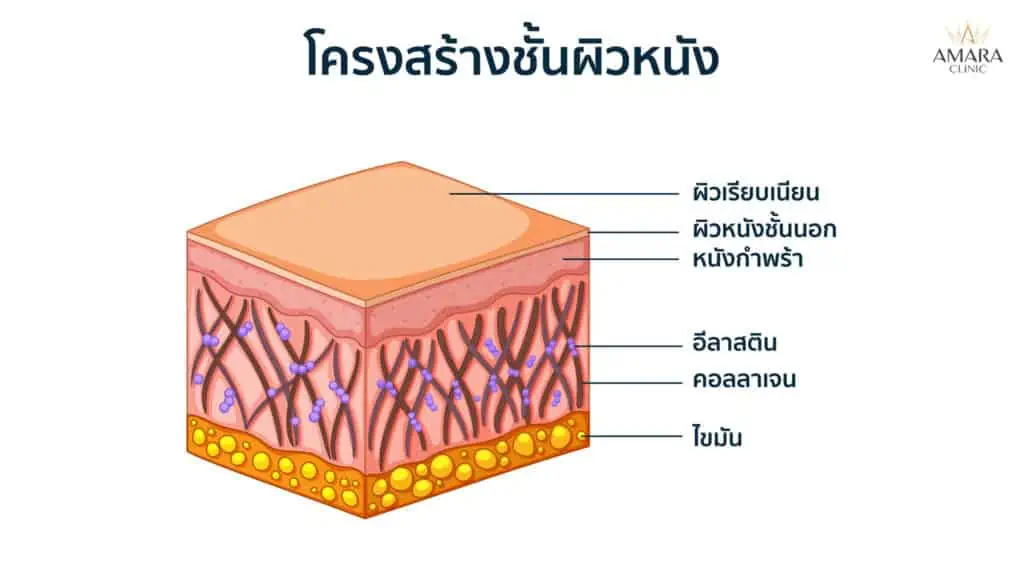 ก้นย้อย