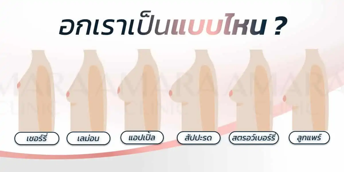 ลักษณะอกสวย