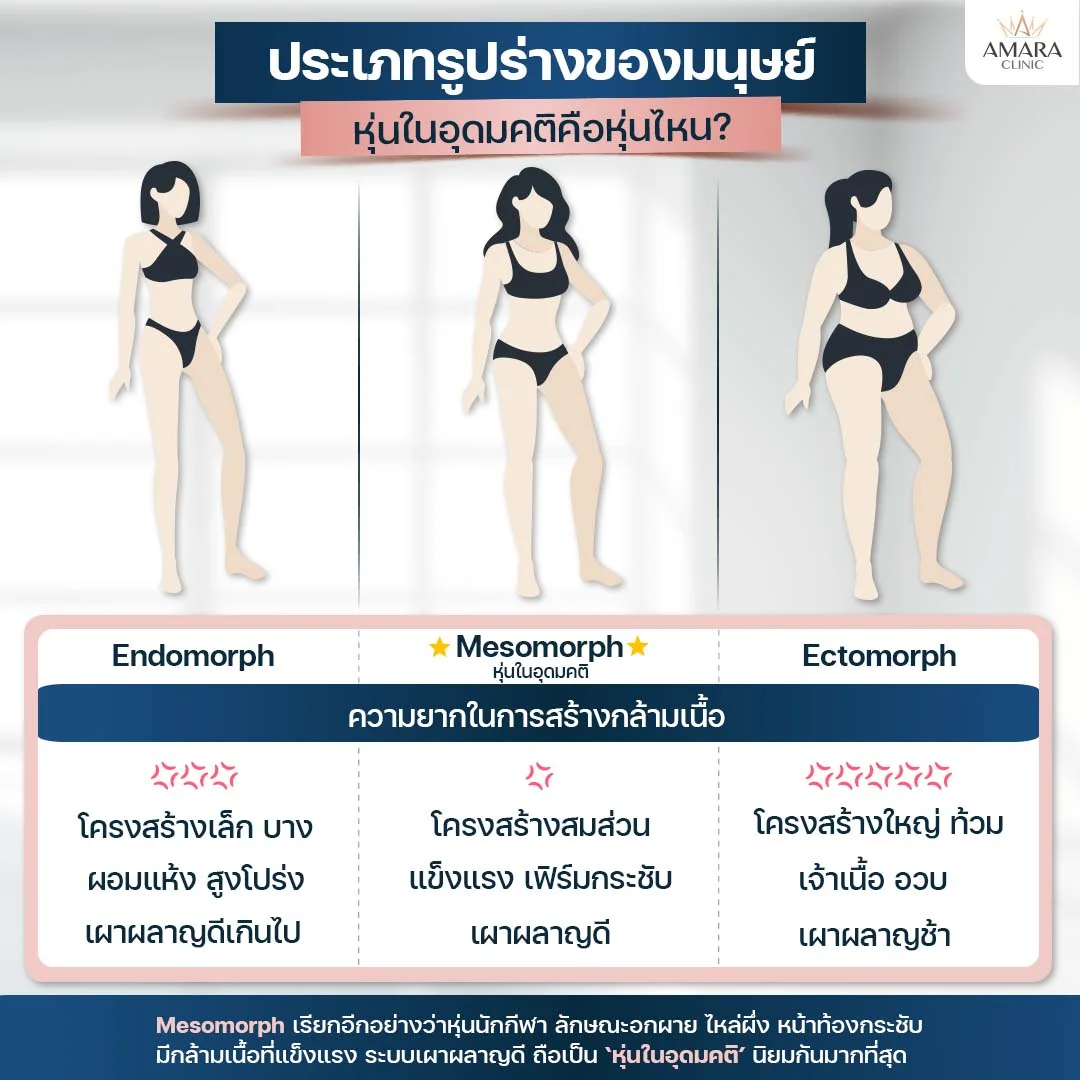 Body Type by Anatomy