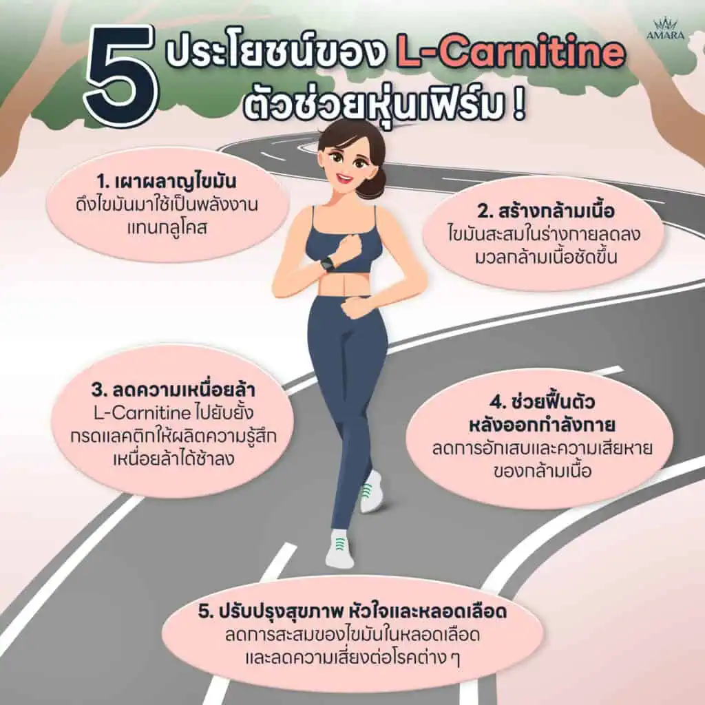 l-carinitine ช่วยอะไร