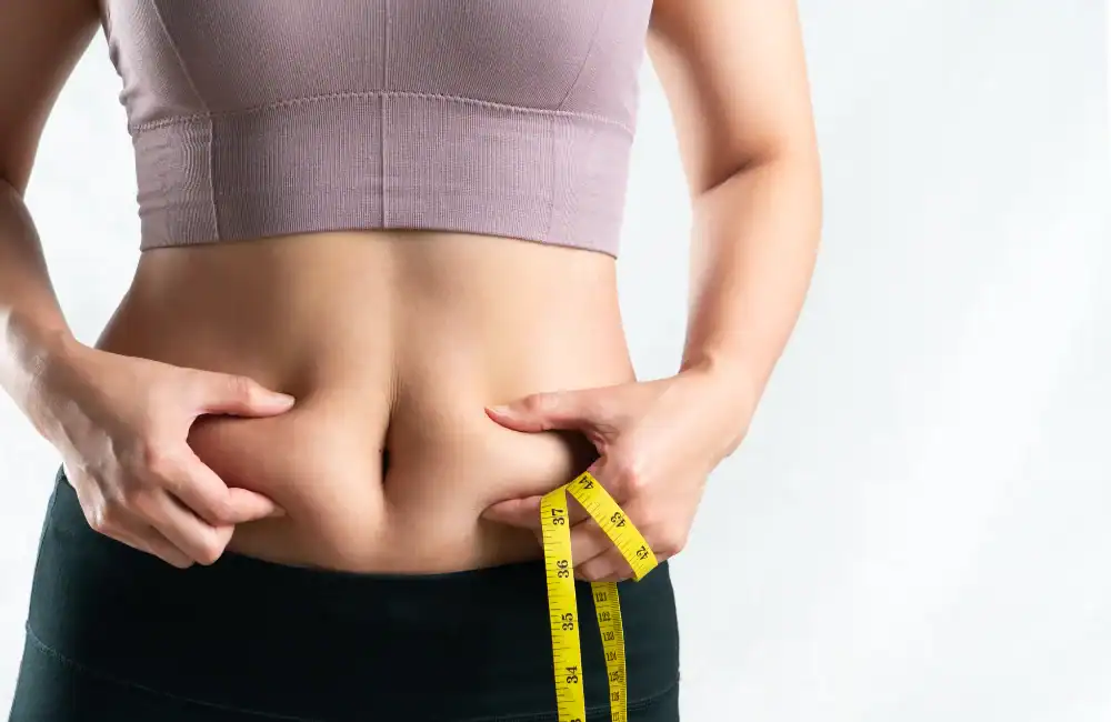 ไขมันใต้ผิวหนัง vs ไขมันในช่องท้อง (Visceral Fat)